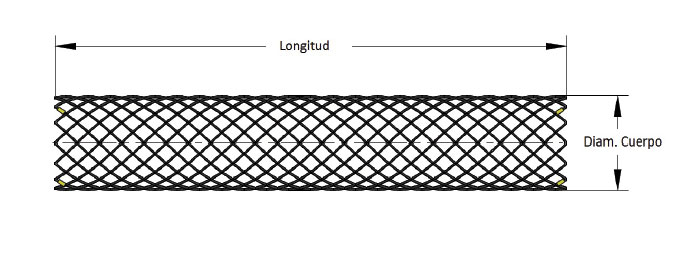Stent Duodenal Endoscópico
