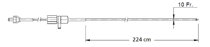 Stent Duodenal Endoscópico