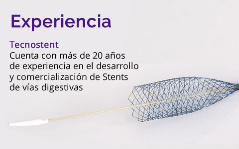 Experiencia