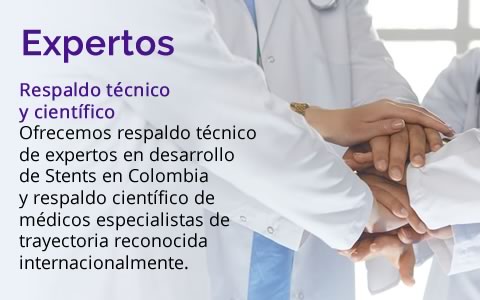 Expertos