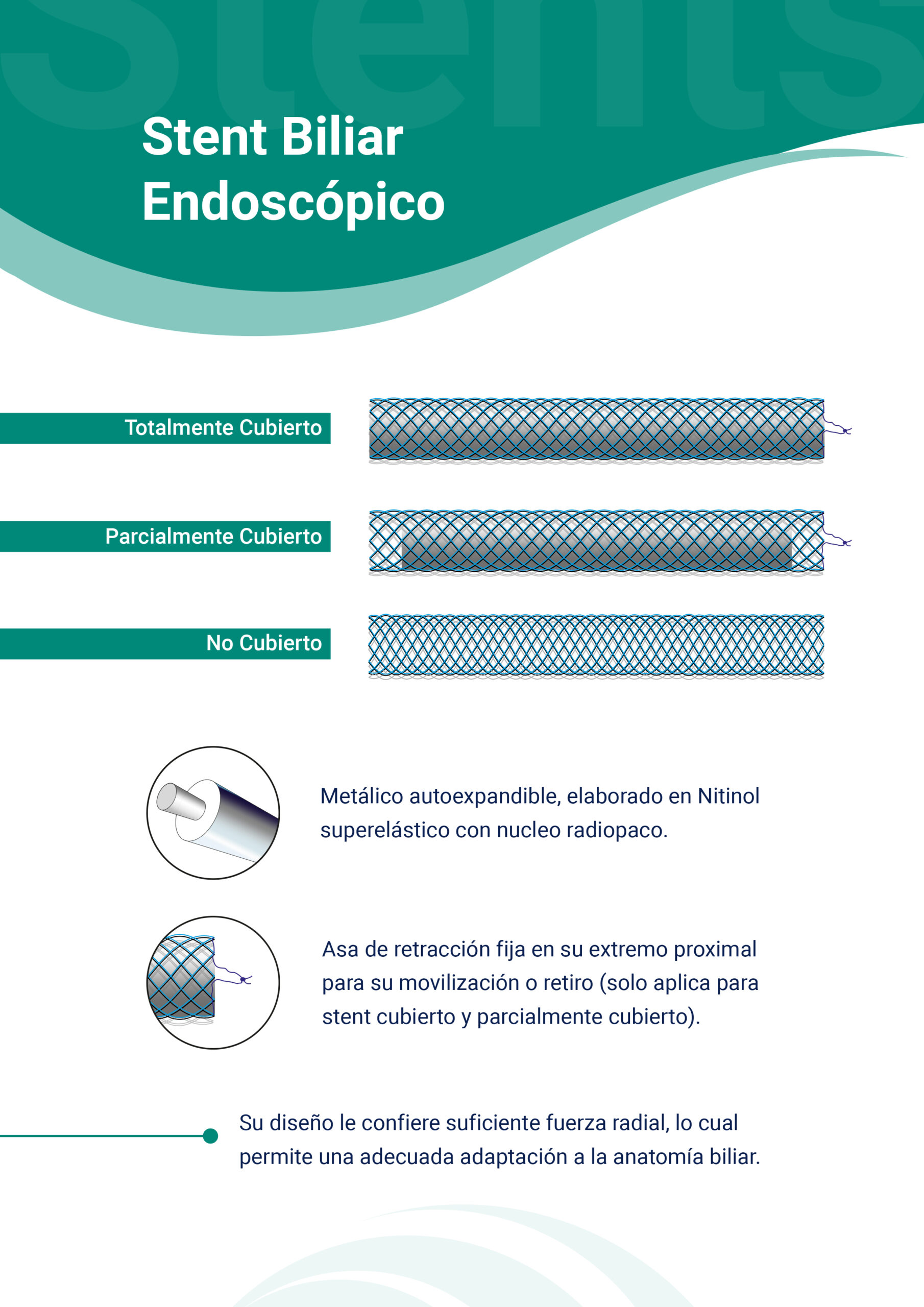 Stent_Billar_Endoscopico