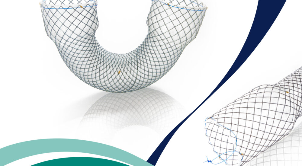 Stents Esofágicos Metálicos autoexpandibles