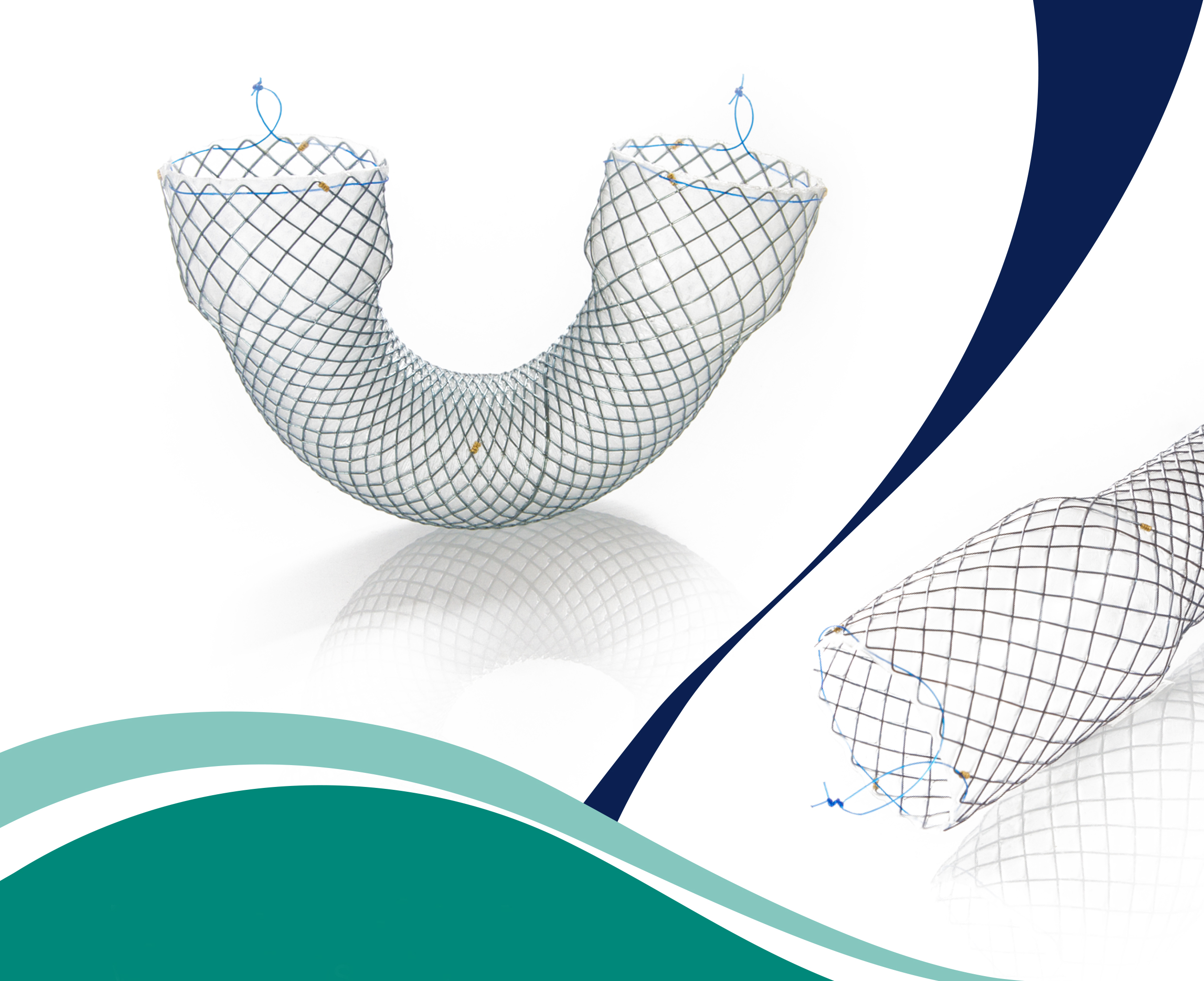 Stents Esofágicos Metálicos autoexpandibles