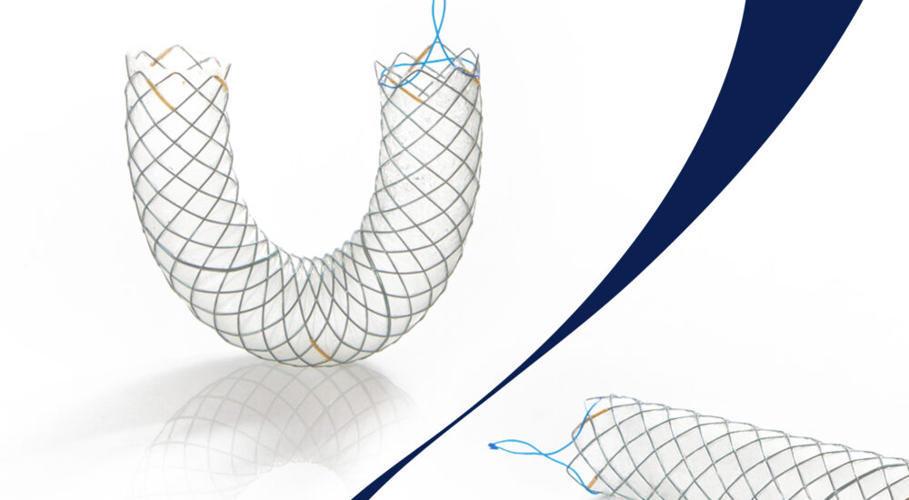 Stents Autoexpandibles