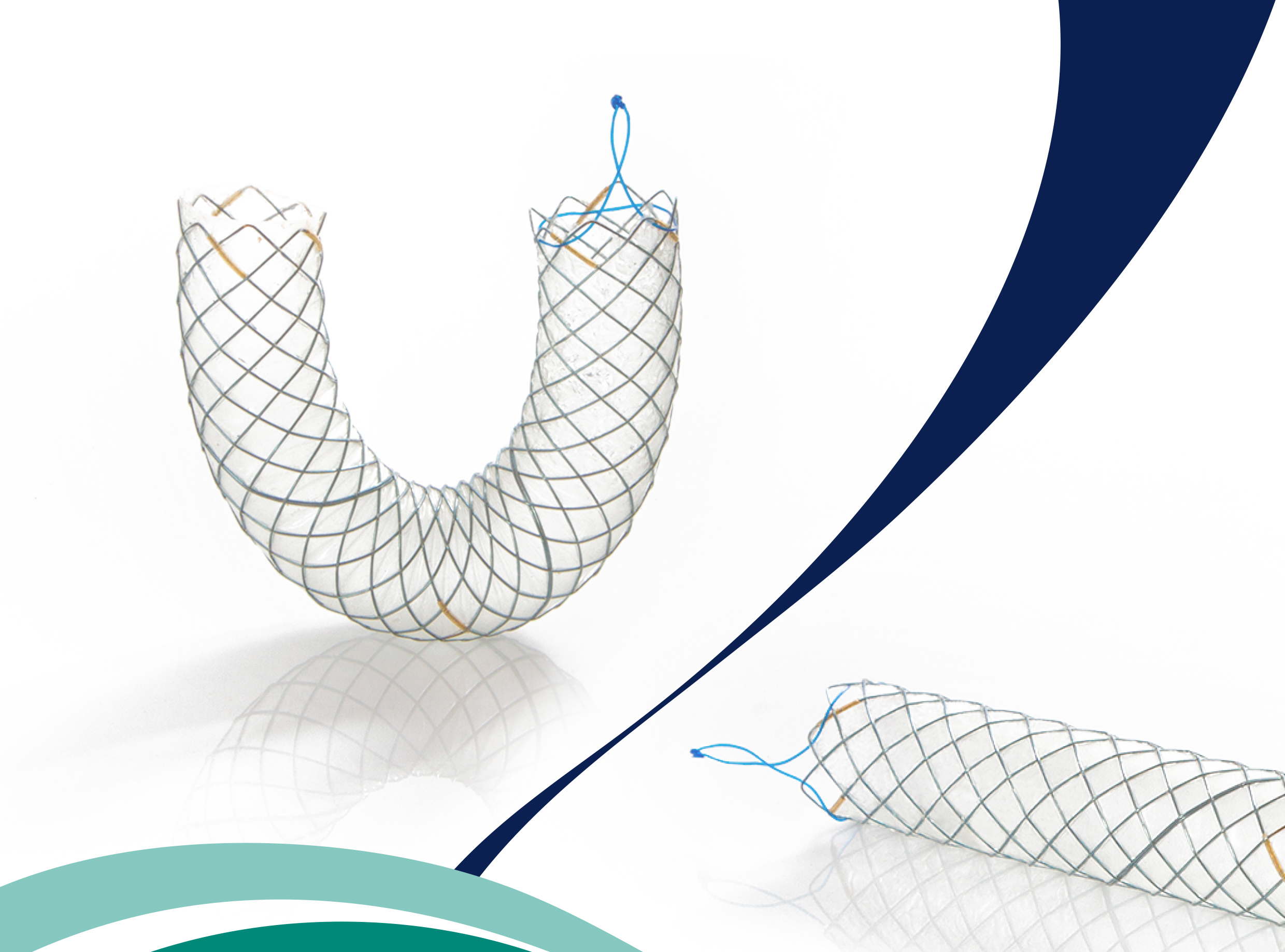 Stents Autoexpandibles