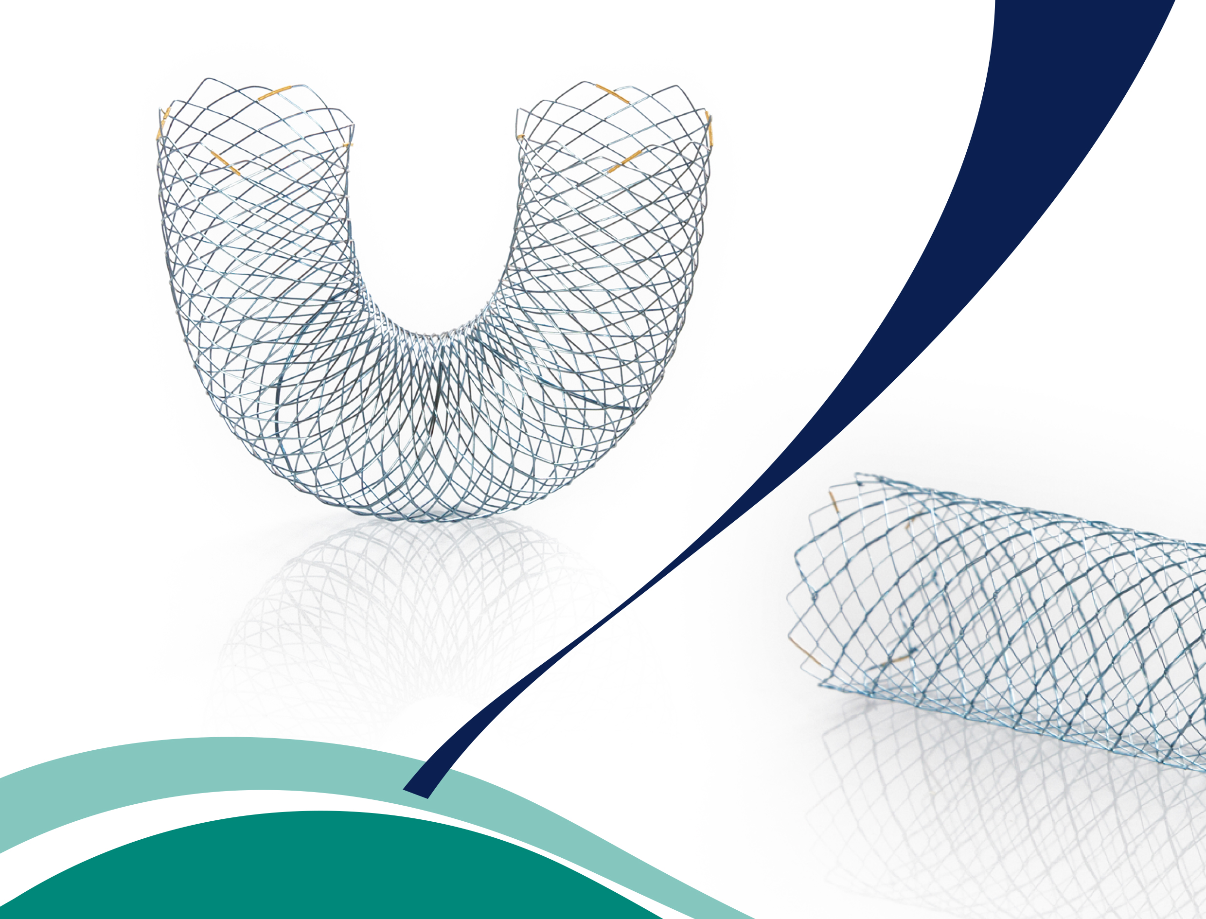 Stents Duodenales