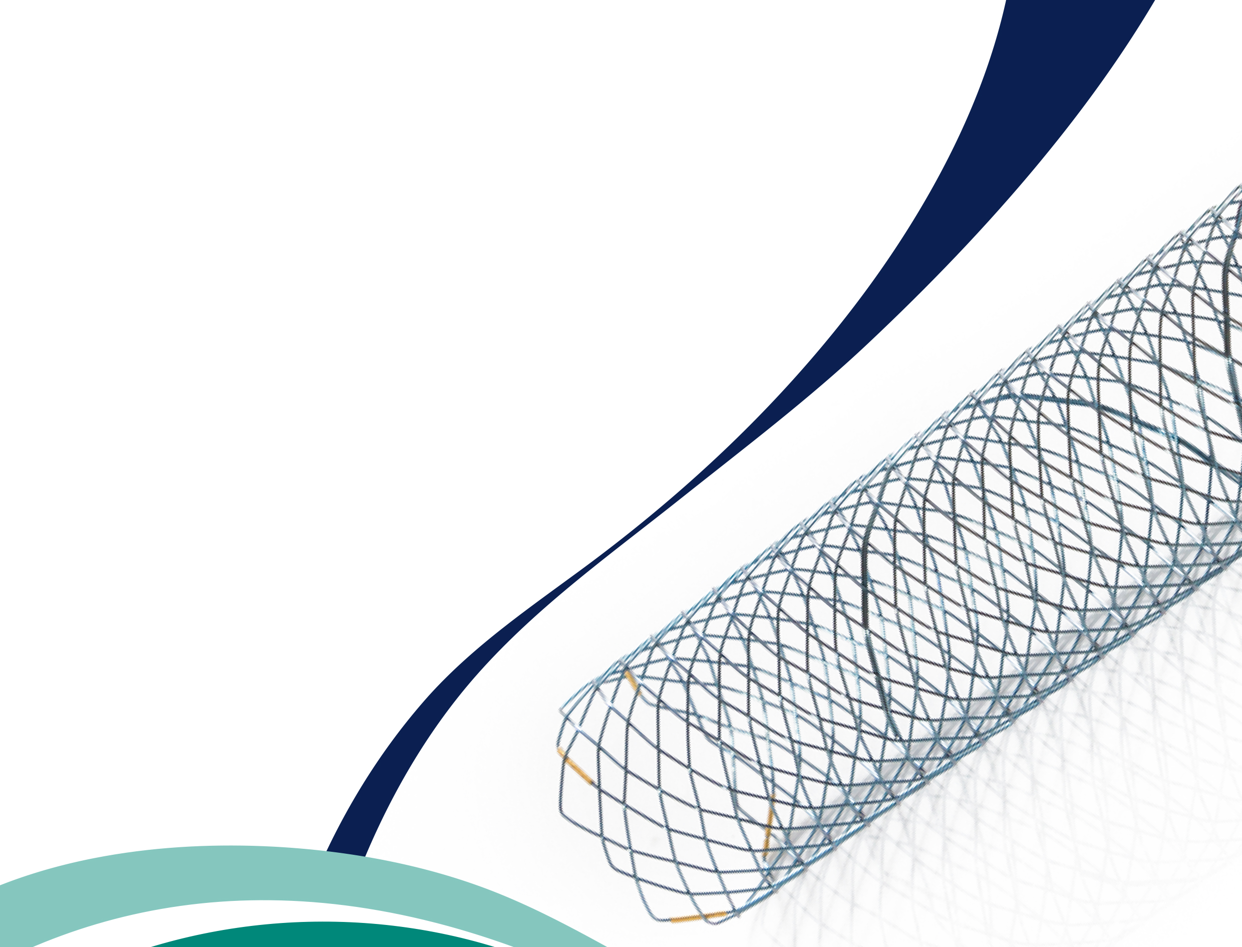 Stents Duodenales